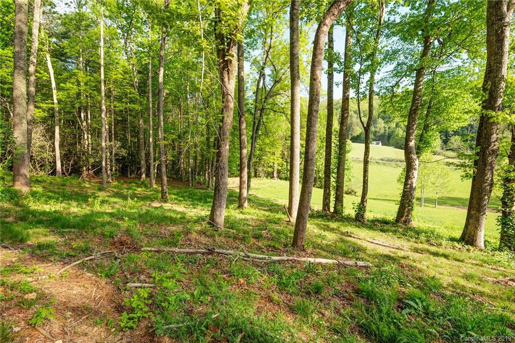 243 Bob Barnwell Road, Unit 1 Fletcher, NC 28732 - Photo 27 of 29 Gallery Image 27