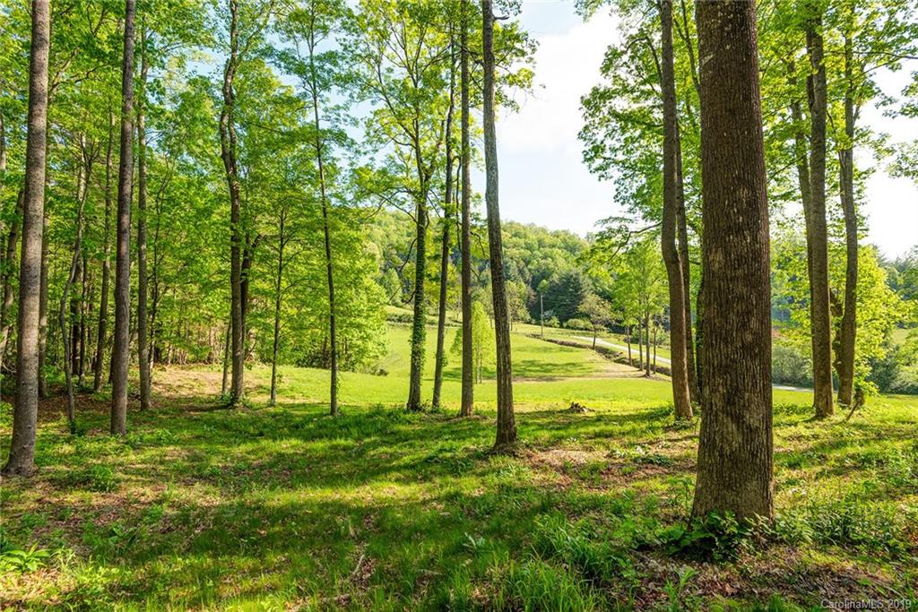 243 Bob Barnwell Road, Unit 1 Fletcher, NC 28732 - Photo 28 of 29 Gallery Image 28