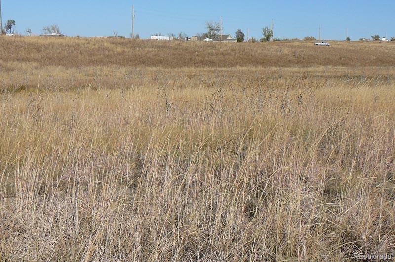 1970 Imboden Road Watkins, CO 80137 - Photo 1 of 7