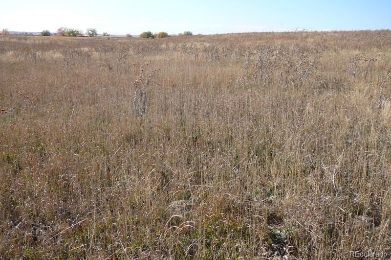 1970 Imboden Road Watkins, CO 80137 - Photo 3 of 7