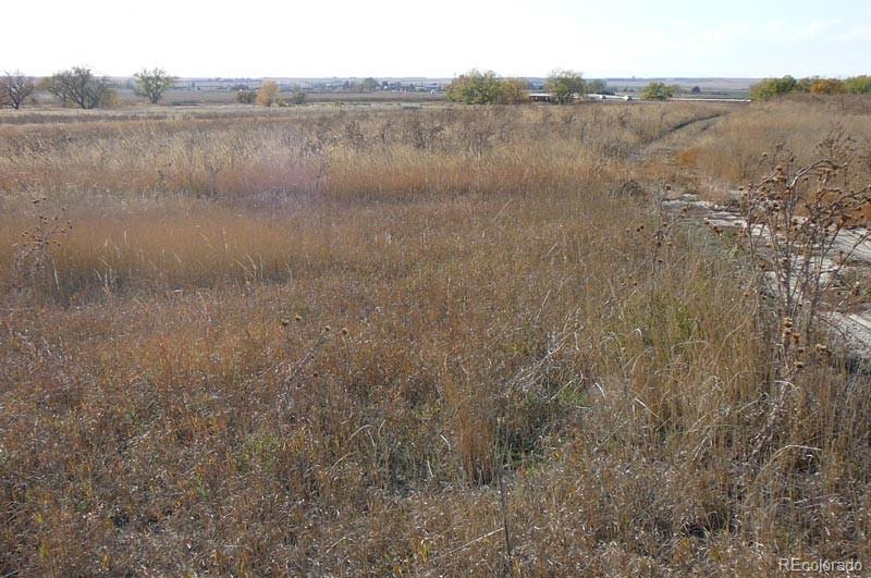 1970 Imboden Road Watkins, CO 80137 - Photo 5 of 7