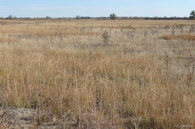 1970 Imboden Road Watkins, CO 80137 - Photo 6 of 7