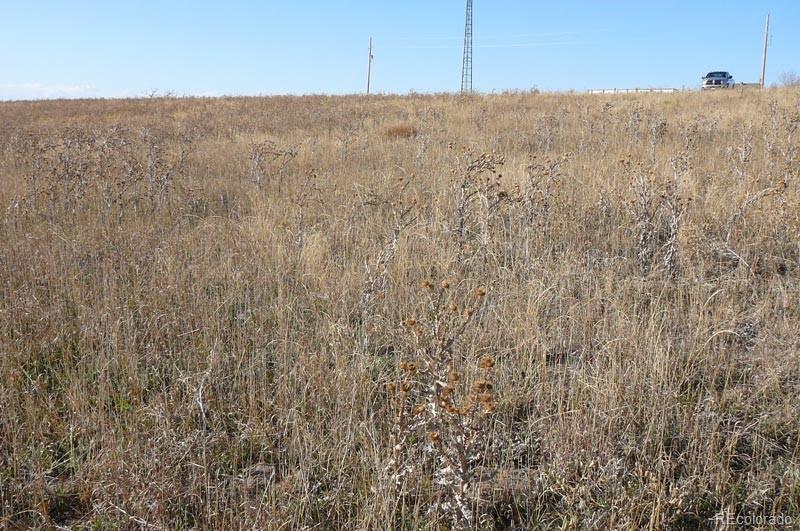 1970 Imboden Road Watkins, CO 80137 - Photo 7 of 7
