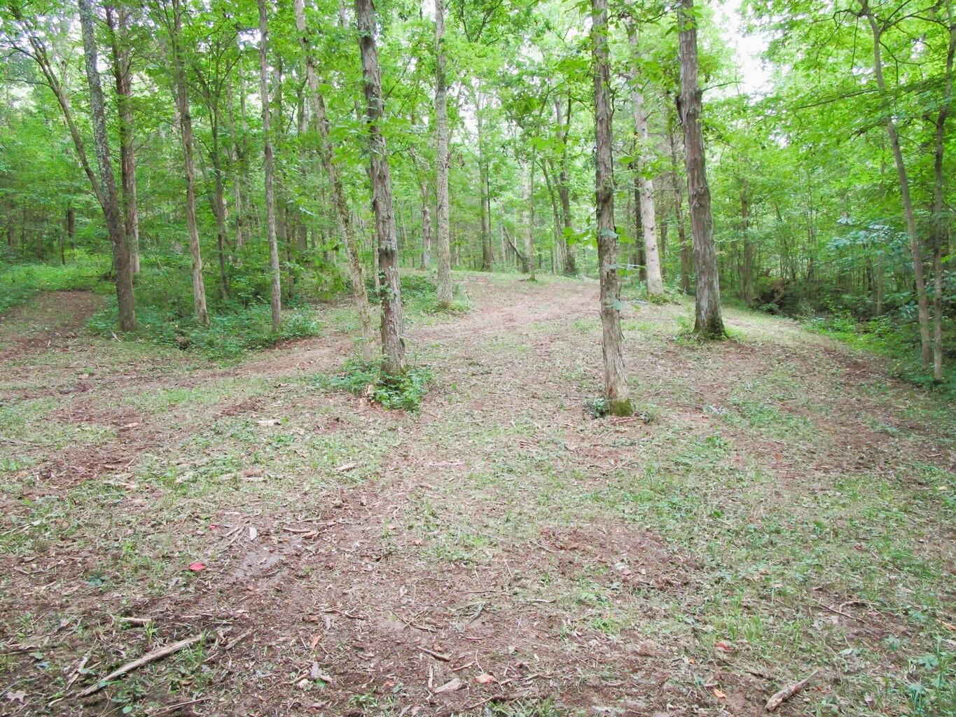 11.5-ac Osborne Road Dry Ridge, KY 41035 - Photo 26 of 38 Osborne 26
