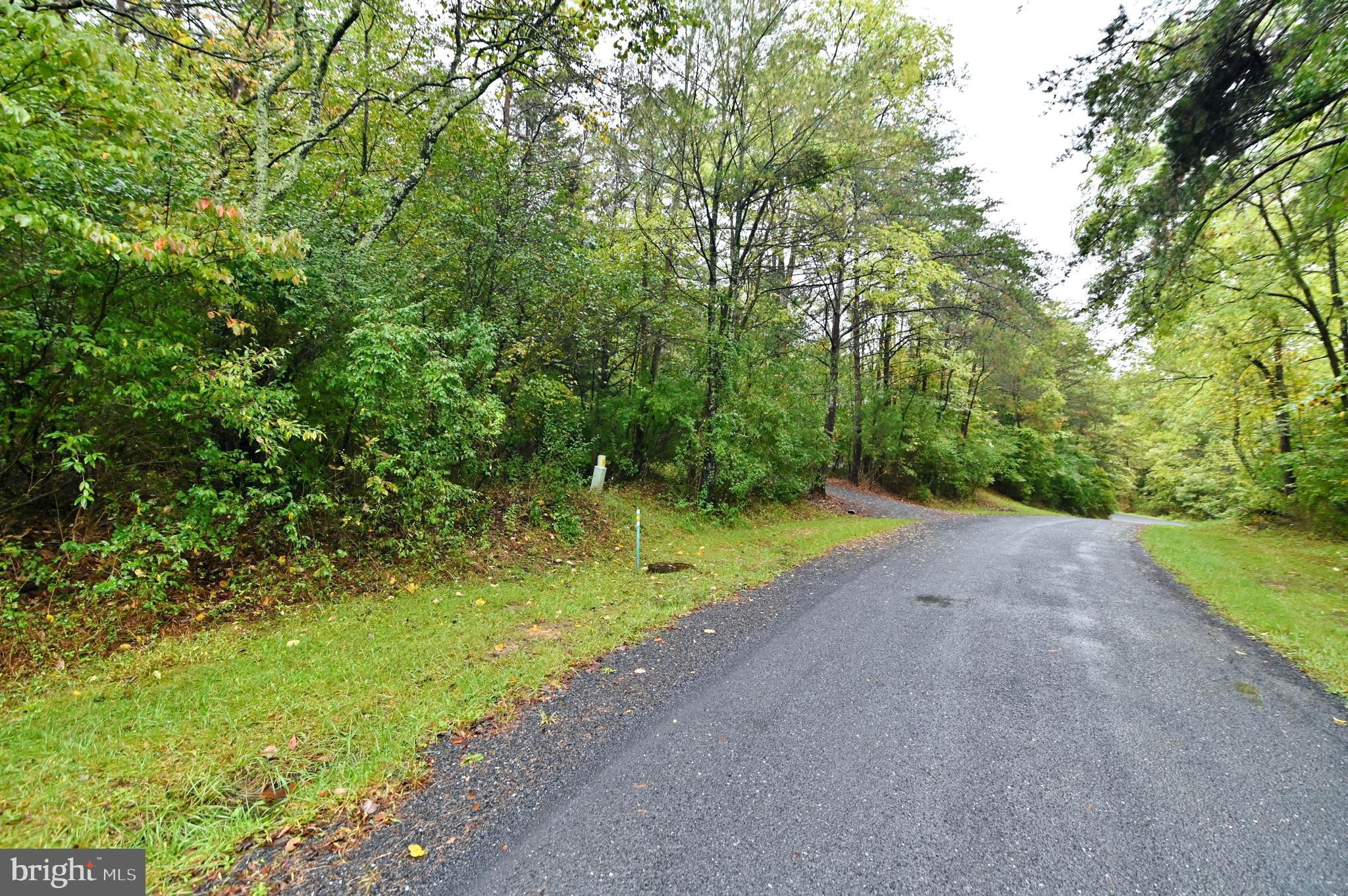 Lot 164 Quail Road Basye, VA 22810 - Photo 3 of 9 Two ways to enter property