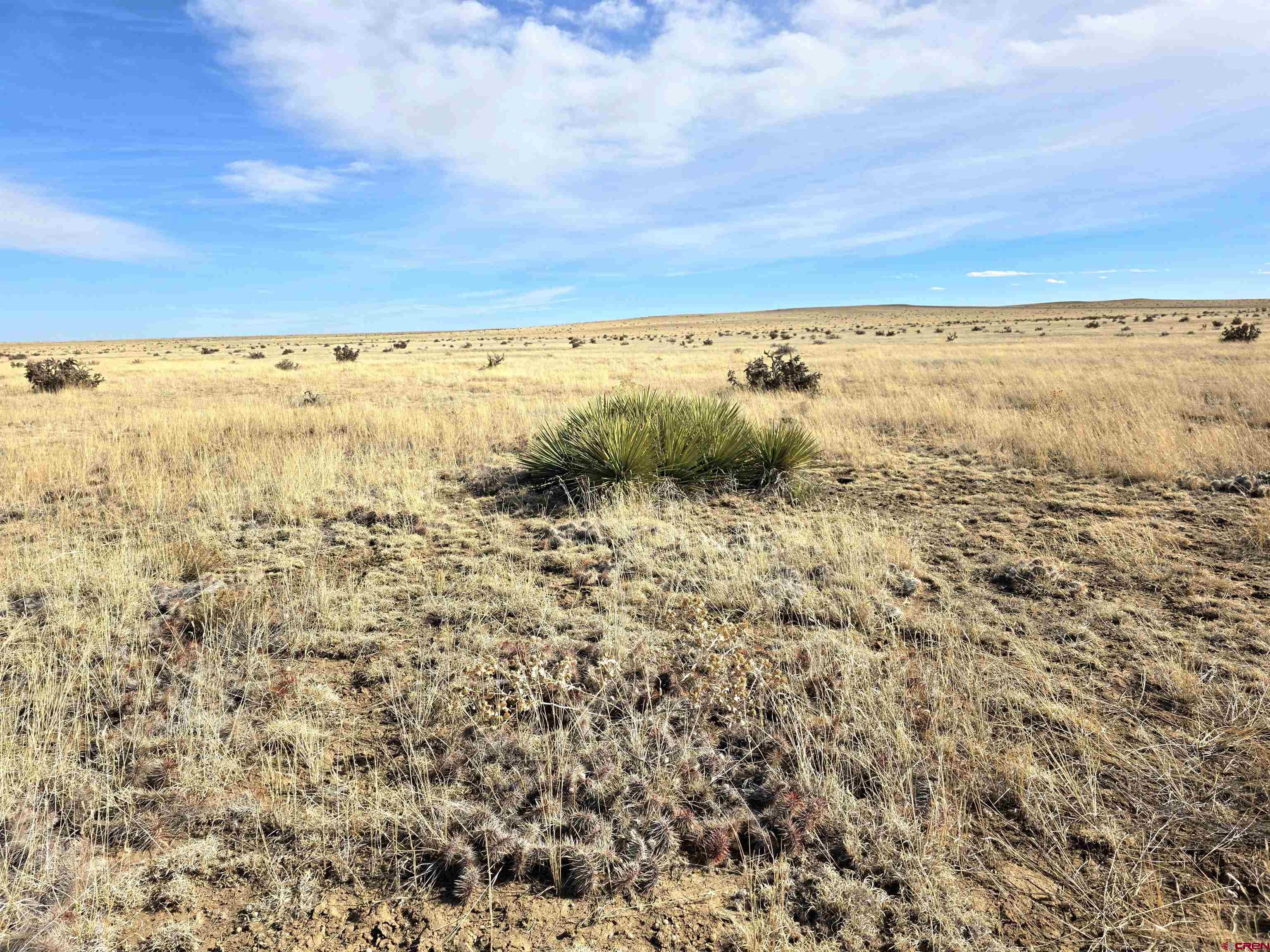 103 County Road 103 Rye, CO 81069 - Photo 2 of 9
