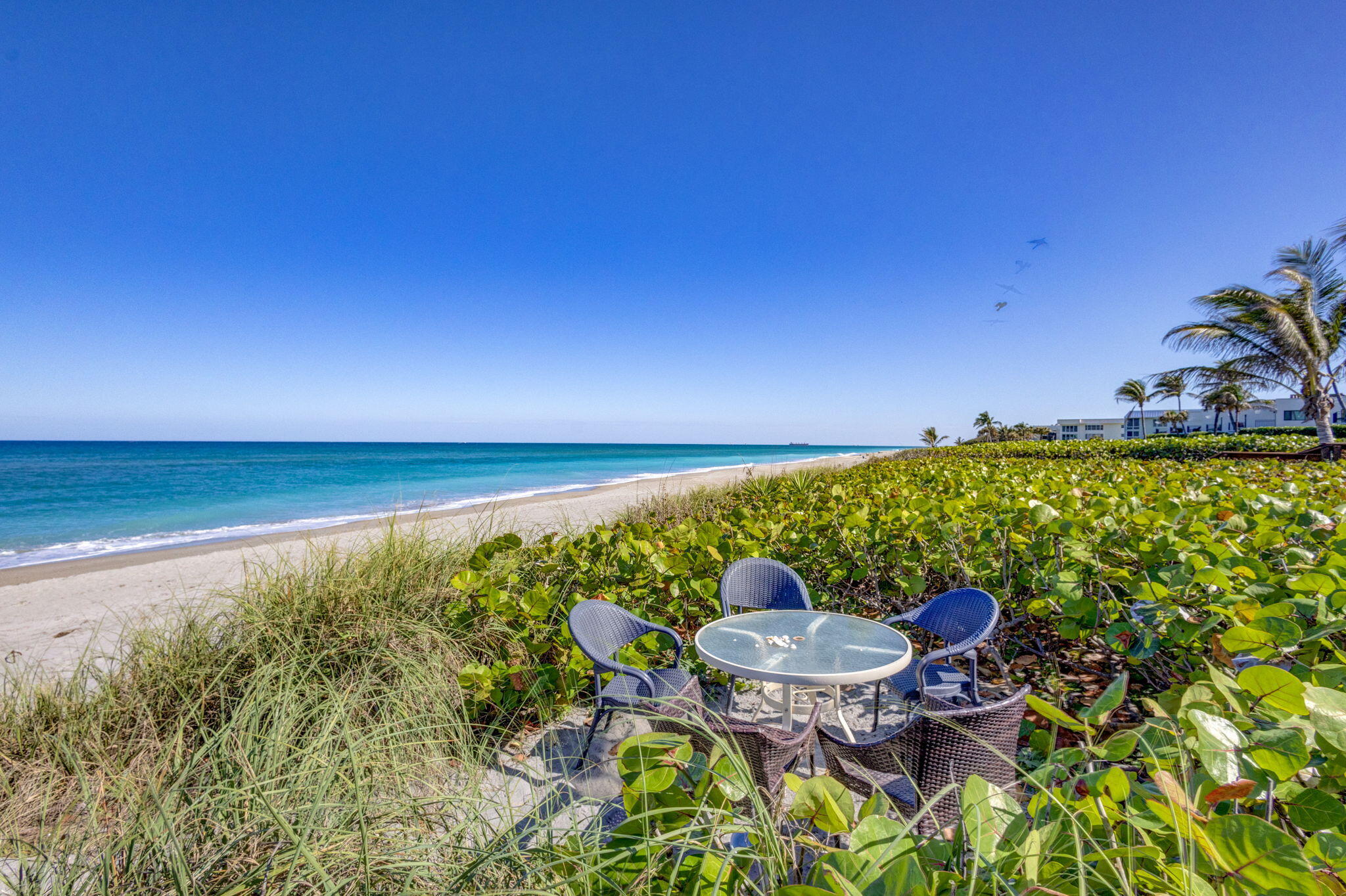 240 Celestial Way, Unit 5 Juno Beach, FL 33408 - Photo 2 of 41 a view of a chairs and table in the patio