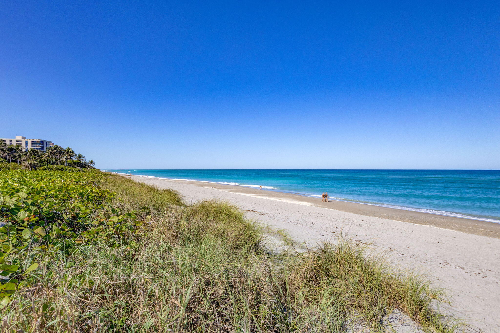 240 Celestial Way, Unit 5 Juno Beach, FL 33408 - Photo 27 of 41 a view of ocean view with beach