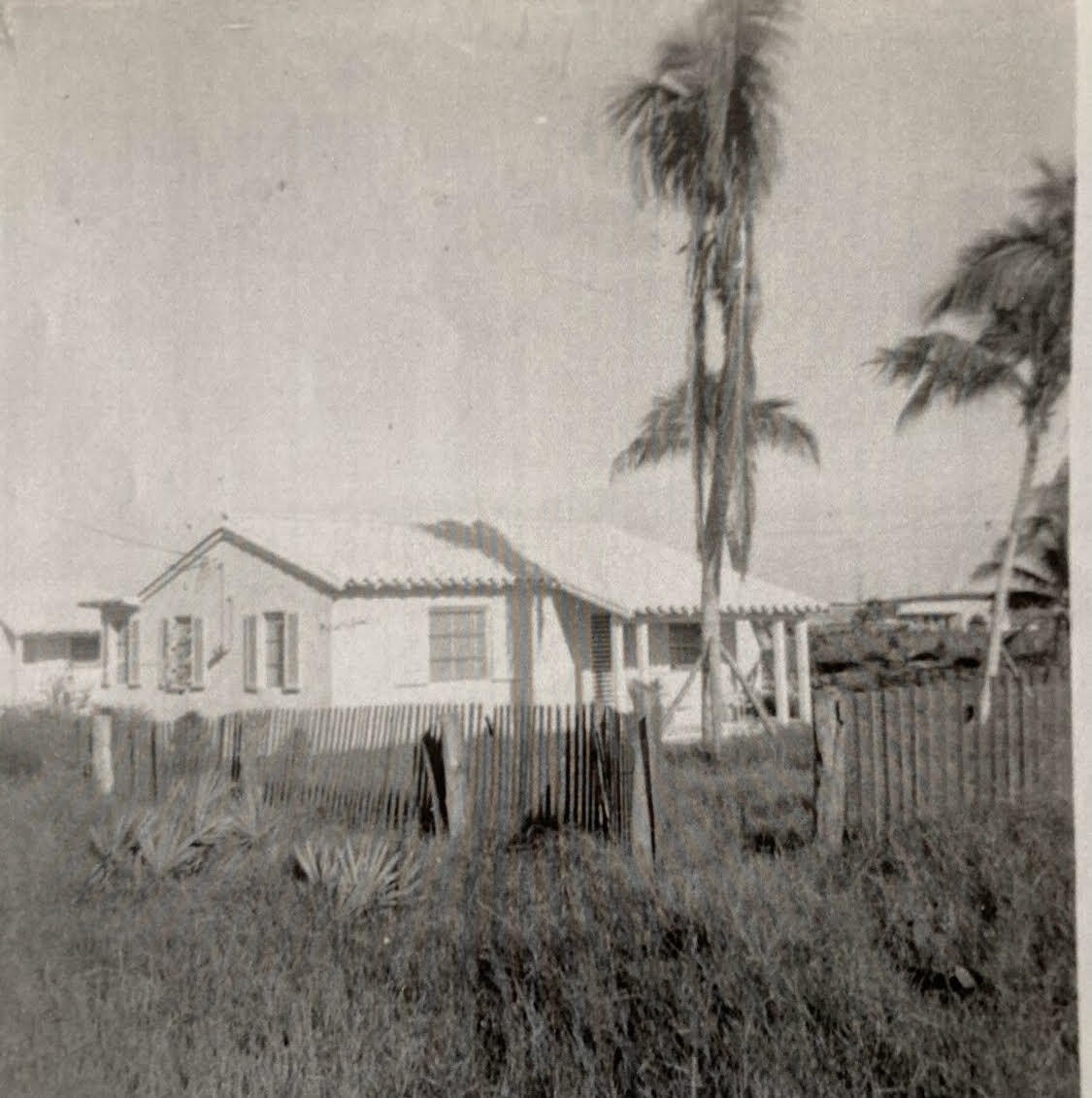 240 Celestial Way, Unit 5 Juno Beach, FL 33408 - Photo 38 of 41 a view of a back yard of a house