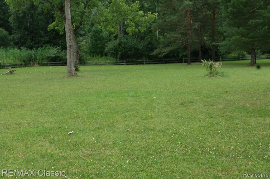 9745 North Eston Road Clarkston, MI 48348 - Photo 5 of 53 BACK YARD TO WOODS