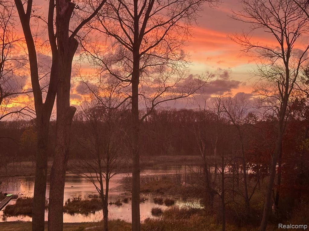 9955 Wiggins Road Howell, MI 48855 - Photo 56 of 57 Gallery Image 56
