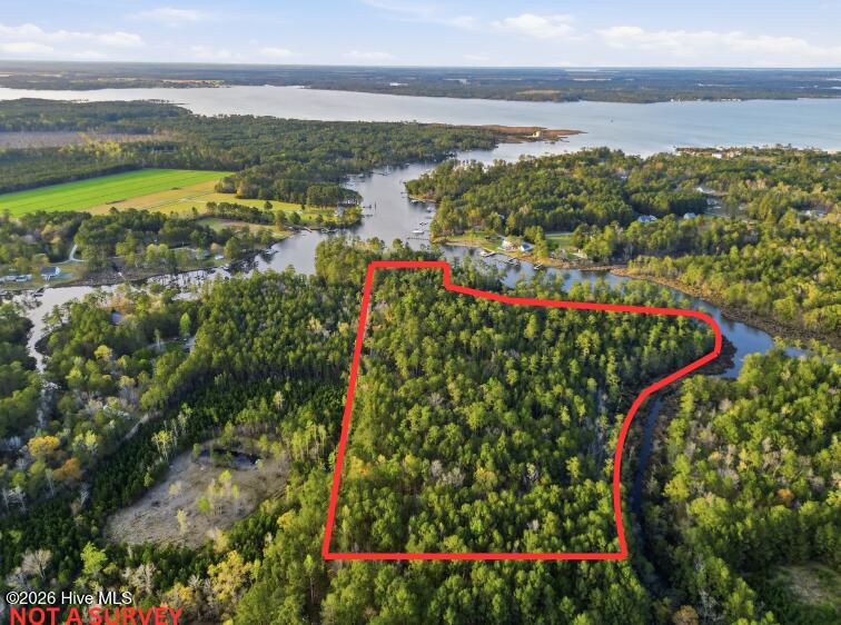 0 Florence Road Merritt, NC 28556 - Photo 1 of 31 Waterfront land