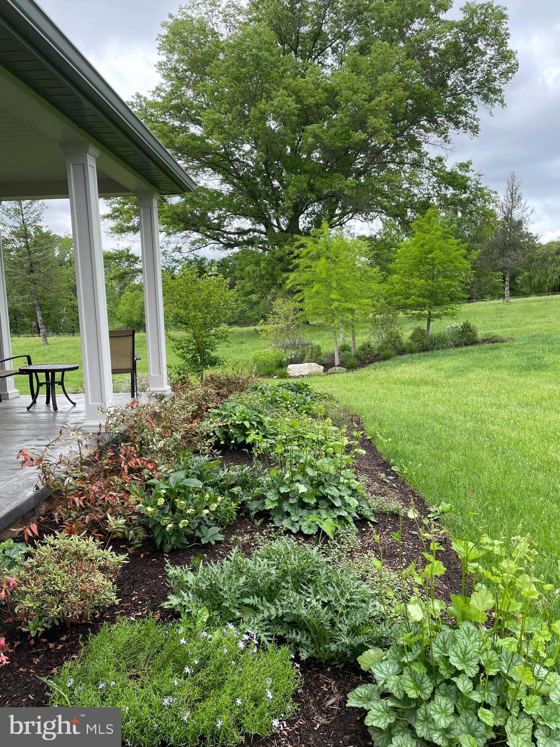 675 West Seven Stars Road Phoenixville, PA 19460 - Photo 42 of 45 a view of a garden with plants and large trees