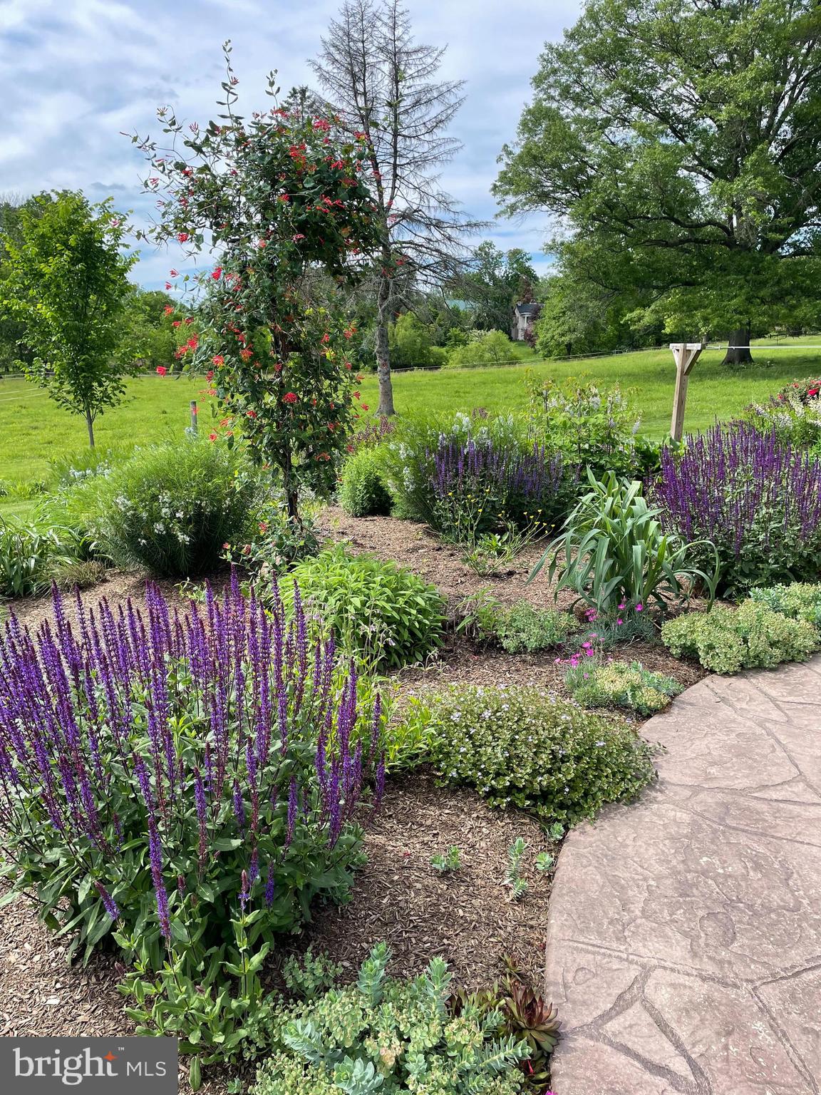 675 West Seven Stars Road Phoenixville, PA 19460 - Photo 43 of 45 a view of a garden with flowers and trees