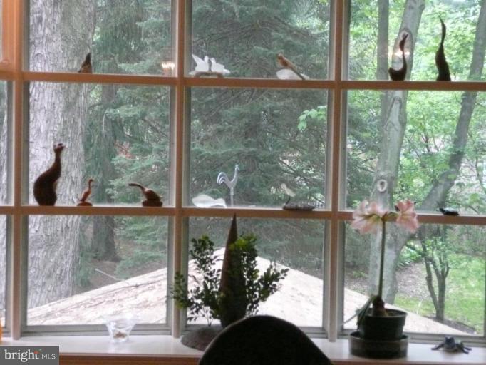 303 Springloch Road Silver Spring, MD 20904 - Photo 2 of 25 Huge Livingroom Window With View