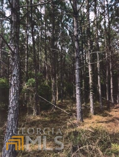 0 Bethlehem Road Jesup, GA 31545 - Photo 1 of 1 Gallery Image 1