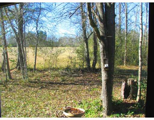 18081 Million Dollar Road Covington, LA 70435 - Photo 9 of 9