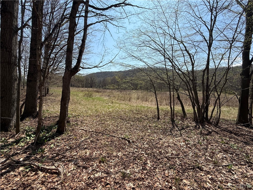 6437 West Scott Road Scott, NY 13077 - Photo 12 of 31
