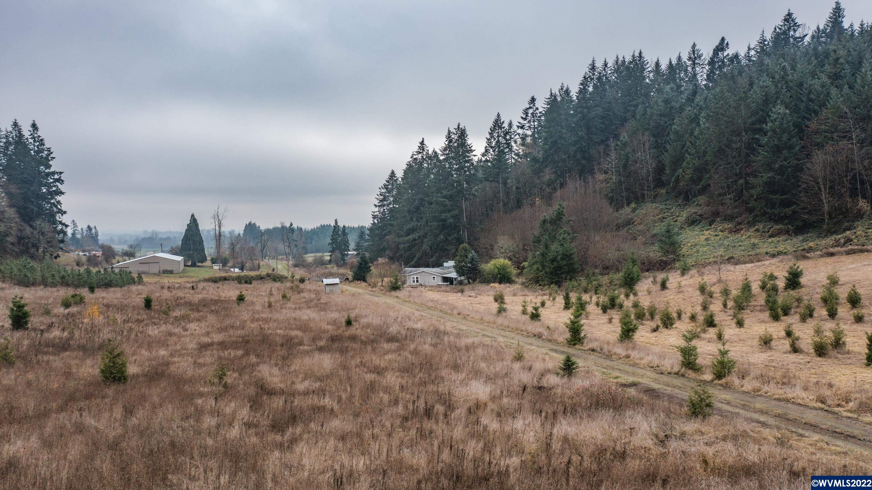 38613 Hungry Hill Road Scio, OR 97374 - Photo 7 of 16