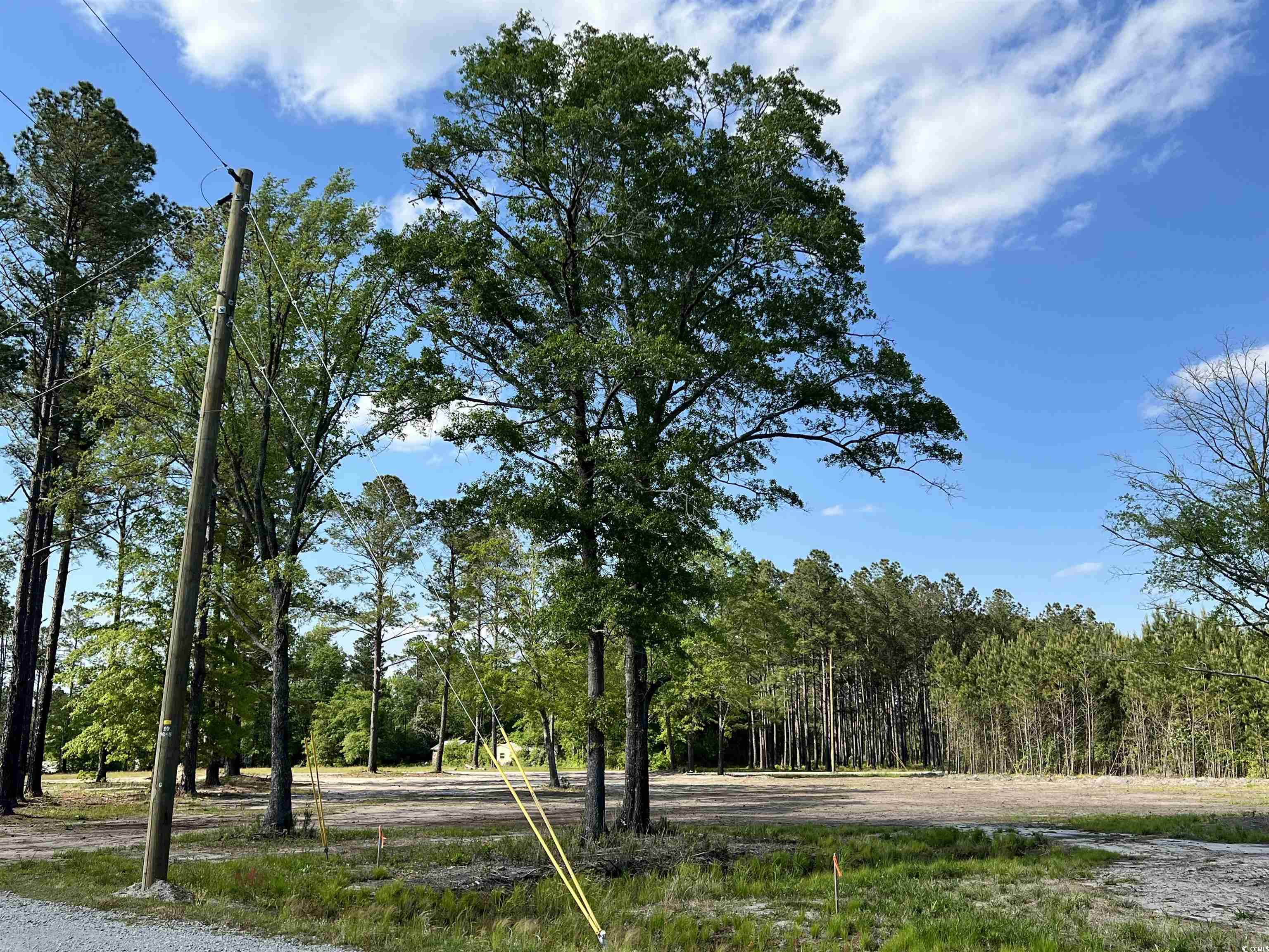 7 Woodrow Lane Loris, SC 29569 - Photo 3 of 6 Gallery Image 3