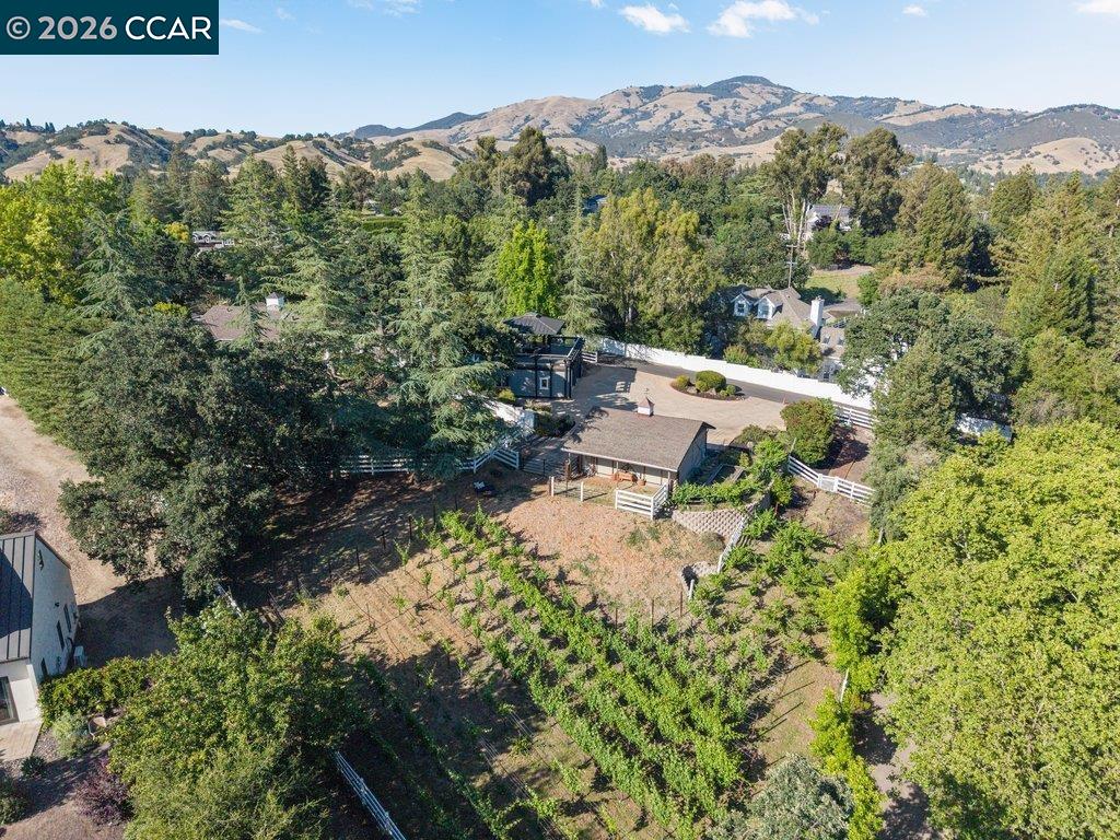 189 Oak Road Alamo, CA 94507 - Photo 2 of 86