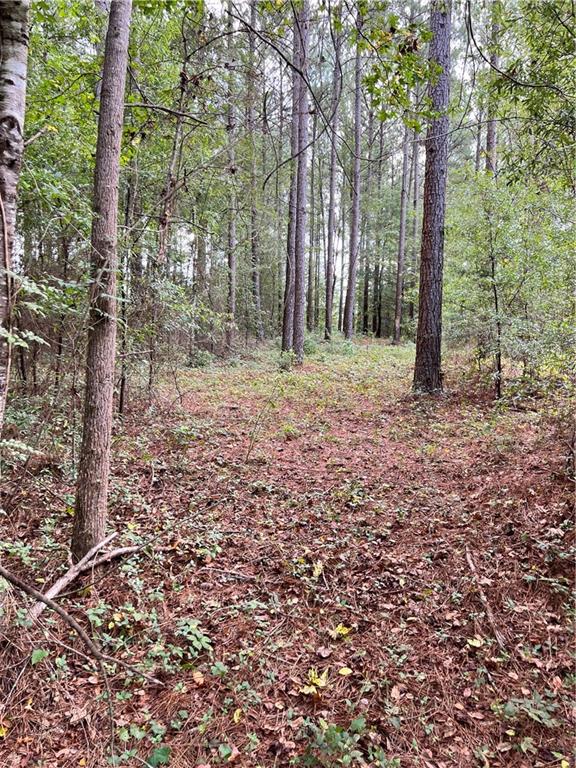 81 Oak Grove Road Kingston, GA 30145 - Photo 1 of 1 Gallery Image 1