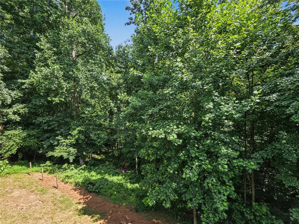 119 Oliver Overlook Dallas, GA 30132 - Photo 50 of 60
