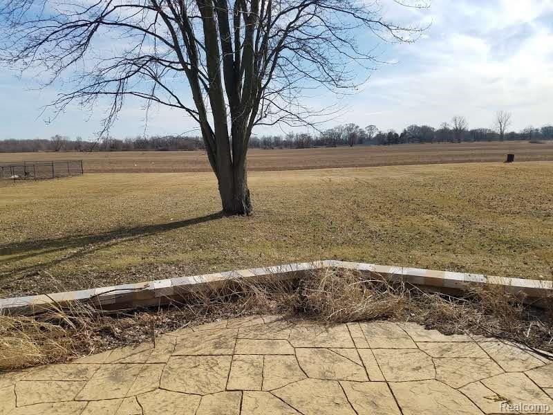 4892 Willow Road Milan, MI 48160 - Photo 15 of 22 Backyard view II.jpg