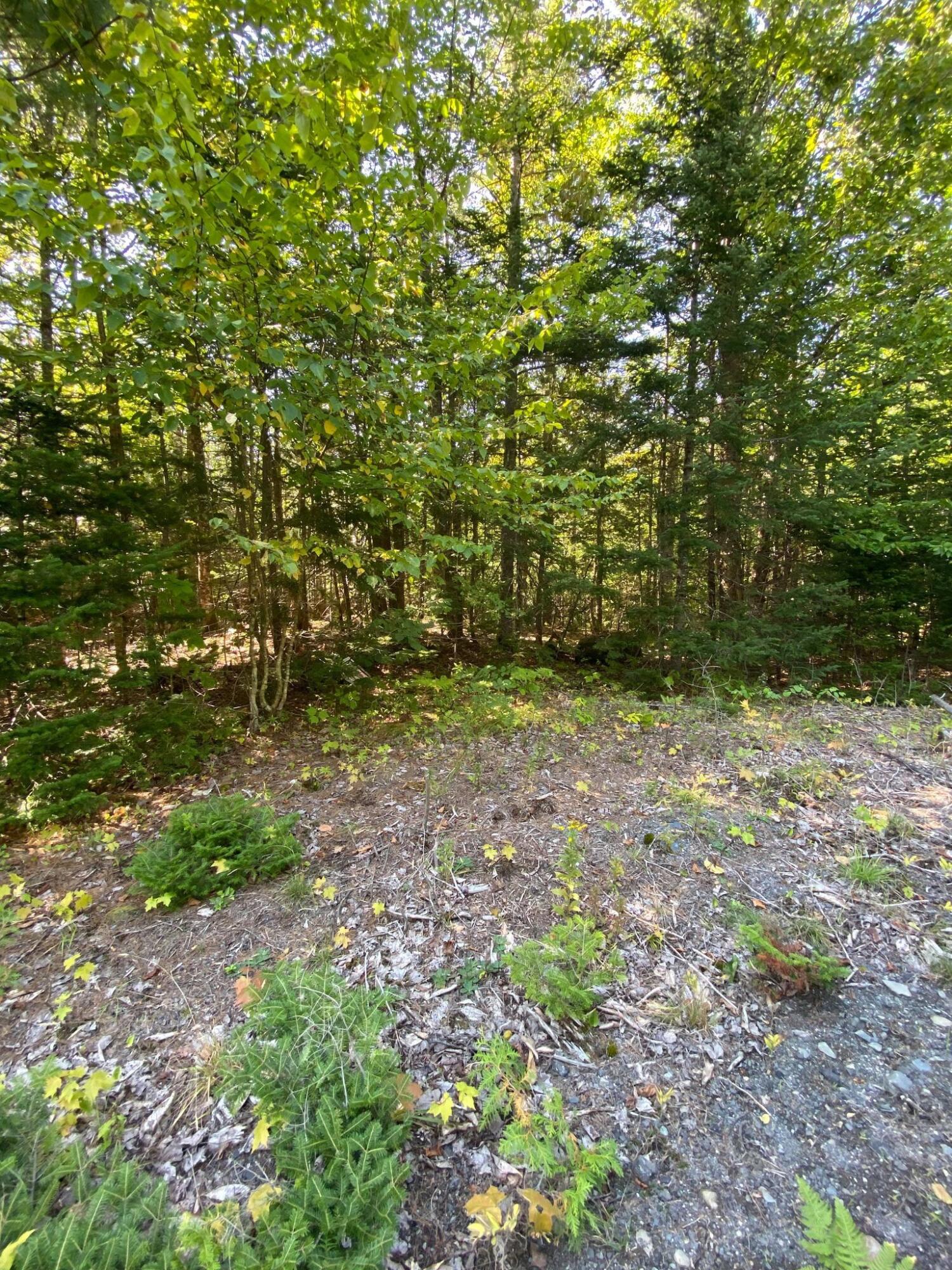 Tbd Steward Road Monson, ME 04464 - Photo 5 of 12 241266840_410077030575913_31396999324274