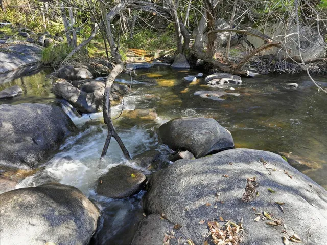 $375,000 | 50015 Lilac Lane, Oakhurst, CA 93644