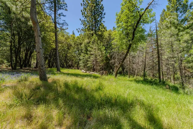 a view of outdoor space with deck and yard