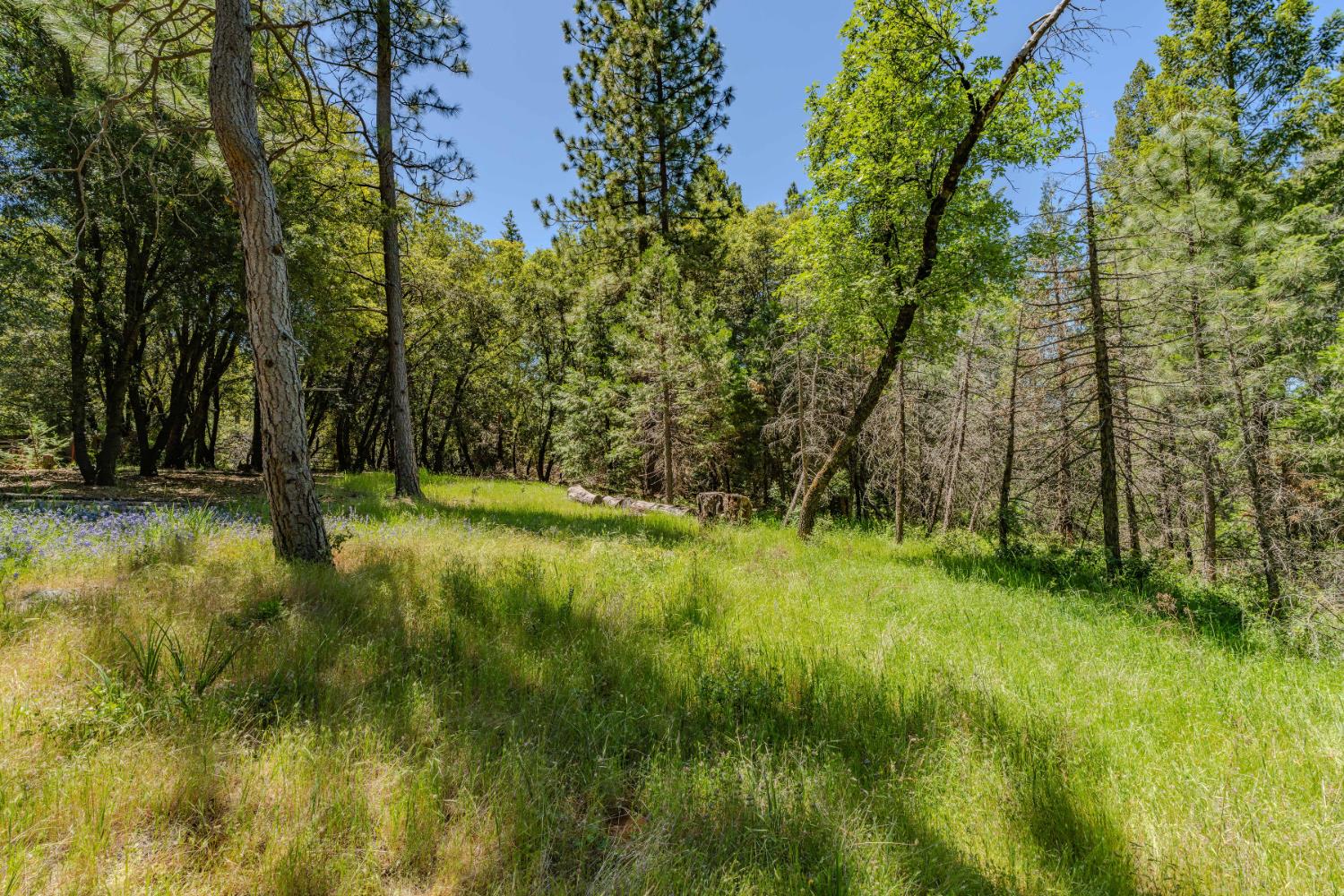 a view of outdoor space with deck and yard