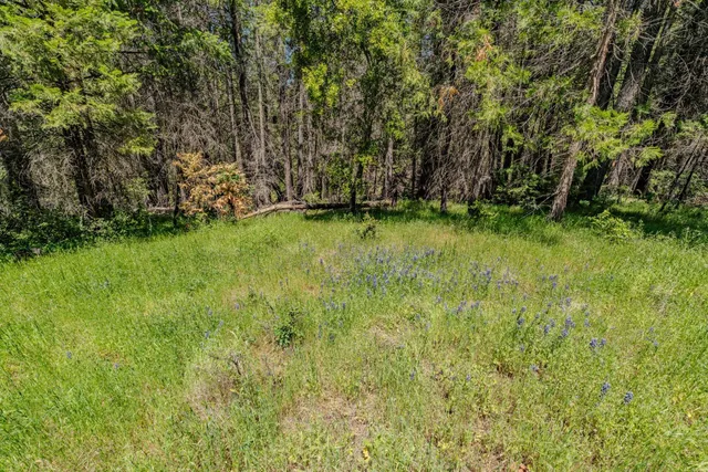 a view of a green field