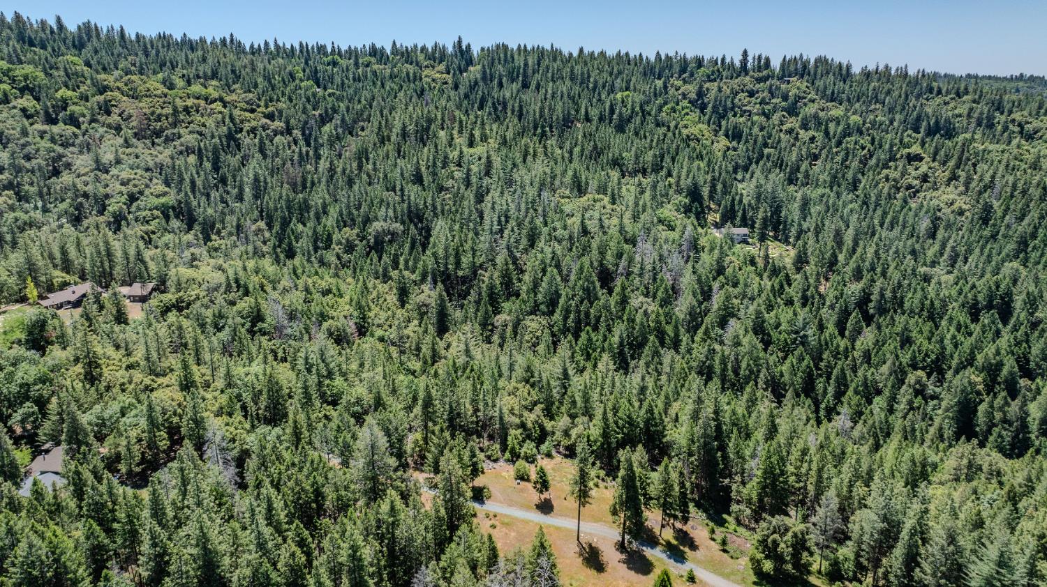 0 Allan Road Volcano, CA 95689 - Photo 12 of 12 a view of a green field