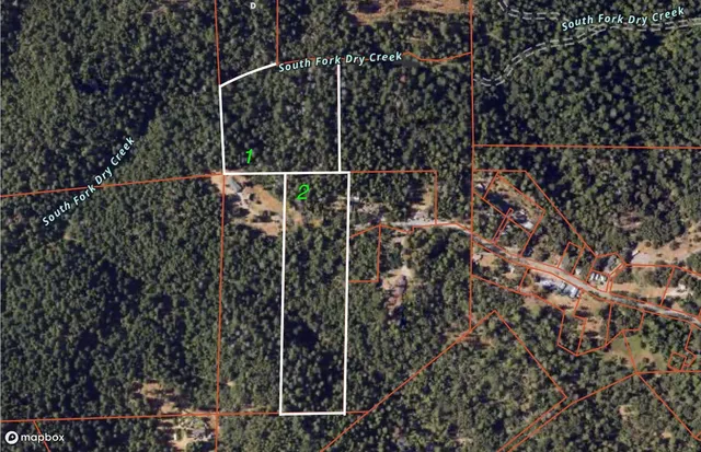 a view of a yard with plants and trees