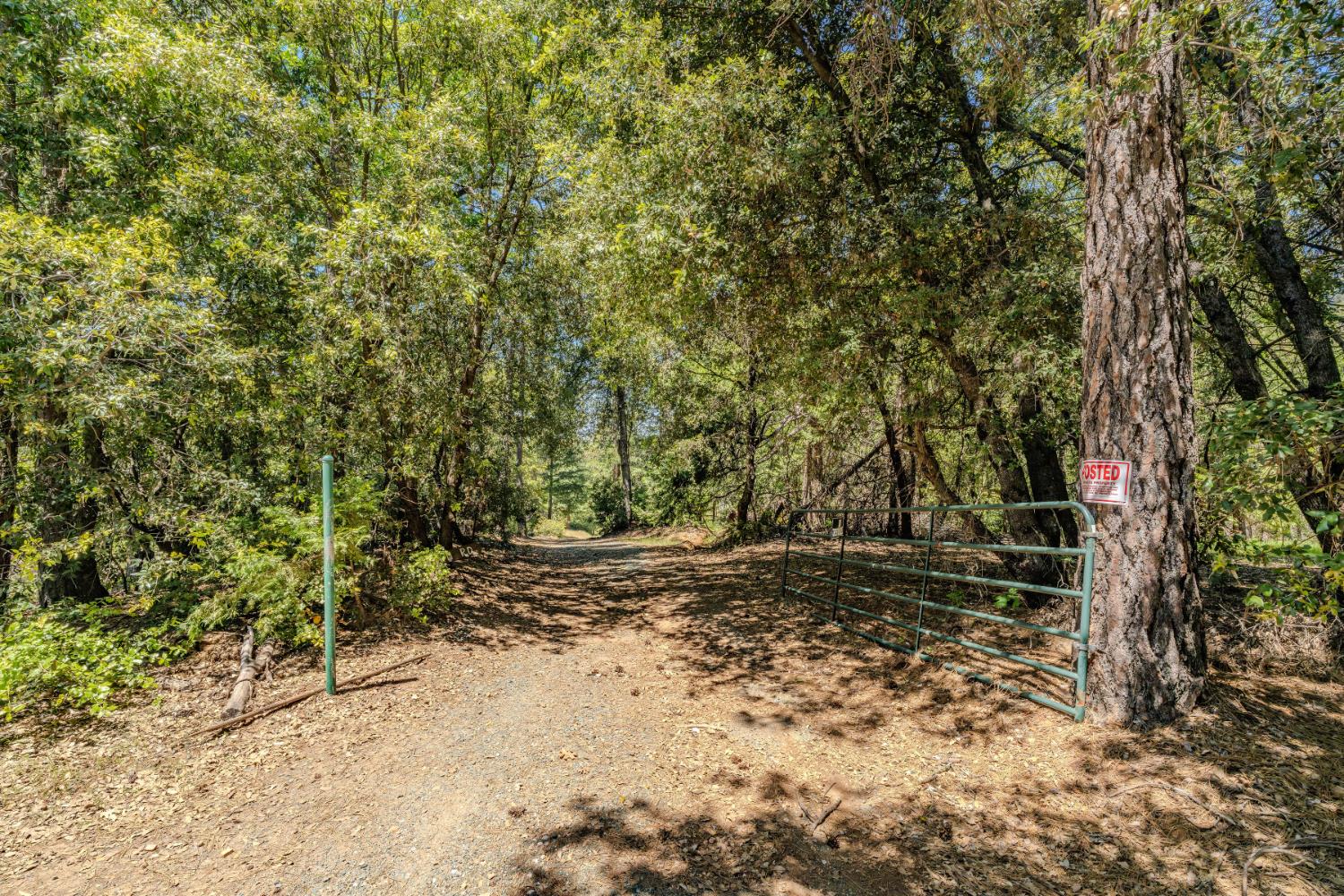 0 Allan Road Volcano, CA 95689 - Photo 3 of 12 a view of a yard with plants and trees