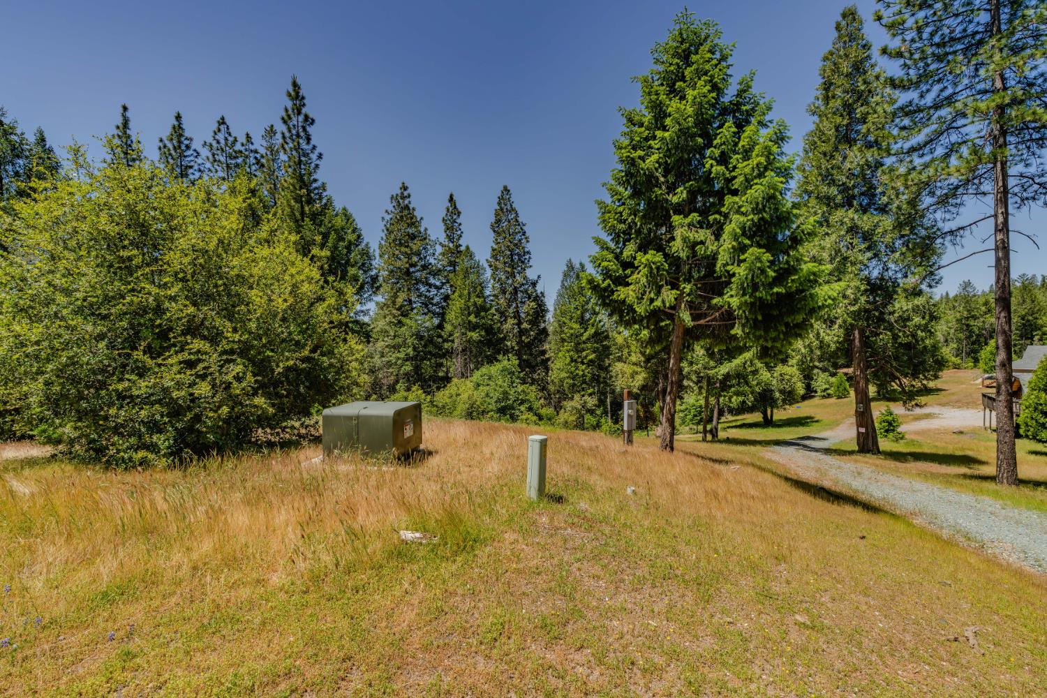 0 Allan Road Volcano, CA 95689 - Photo 6 of 12 a view of swimming pool with an outdoor space and seating area