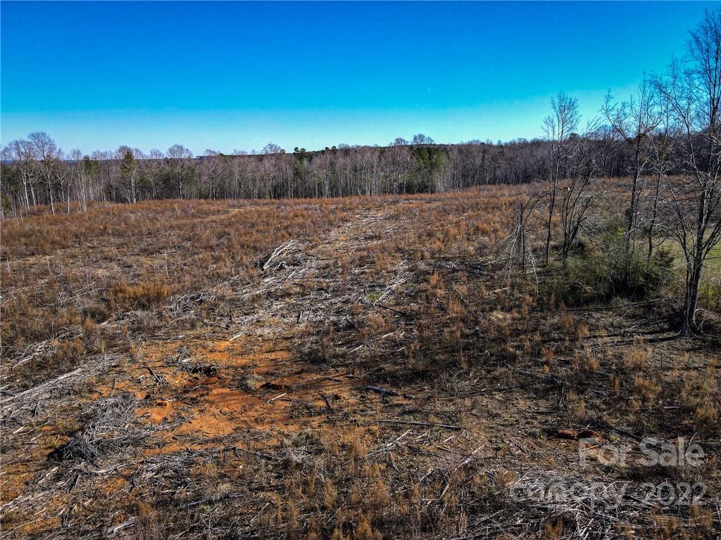 1267 Rushing Road Pageland, SC 29728 - Photo 8 of 15 Gallery Image 8