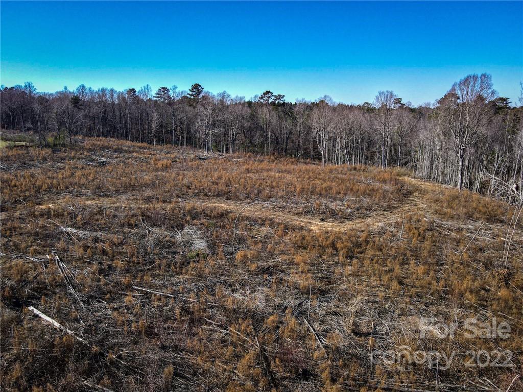 1267 Rushing Road Pageland, SC 29728 - Photo 9 of 15 Gallery Image 9