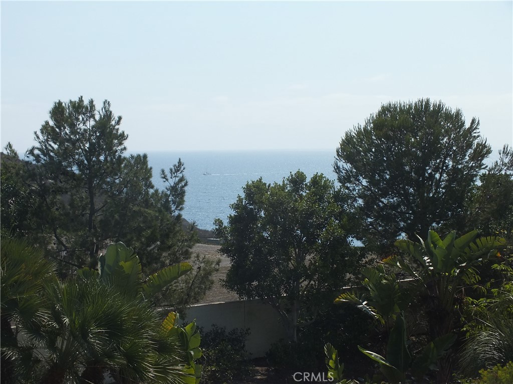 34140 Selva Road, Unit 221 Dana Point, CA 92629 - Photo 31 of 41 Gallery Image 31