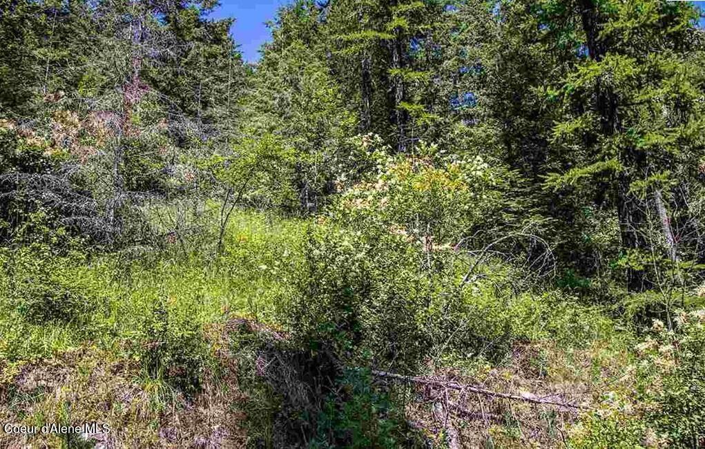 Nna North Quail Run Sandpoint, ID 83864 - Photo 11 of 23 20231210-10