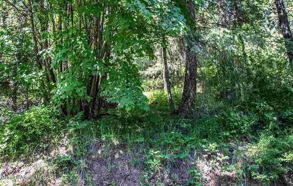 Nna North Quail Run Sandpoint, ID 83864 - Photo 16 of 23 20231210-15