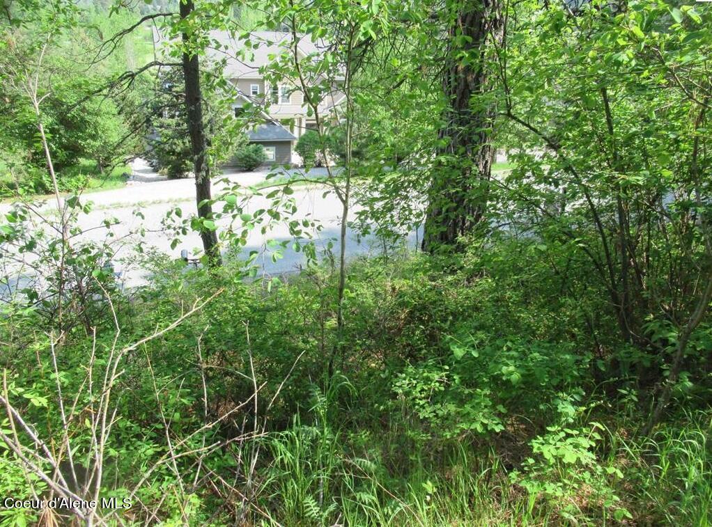 Nna North Quail Run Sandpoint, ID 83864 - Photo 17 of 23 20231210-18