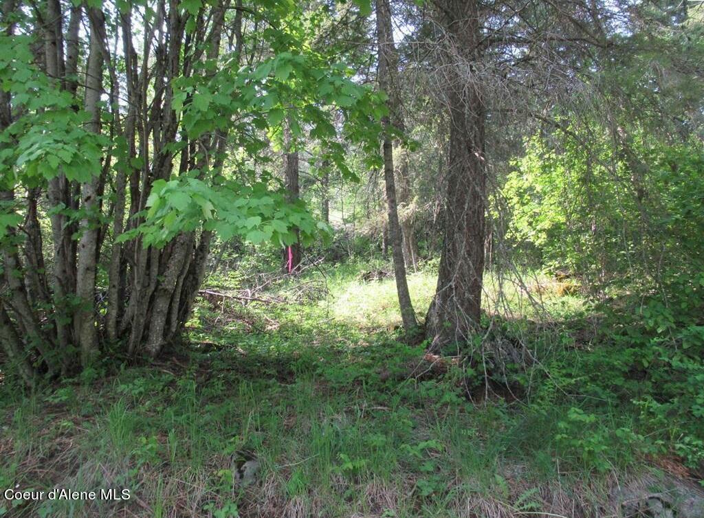 Nna North Quail Run Sandpoint, ID 83864 - Photo 20 of 23 20231210-22