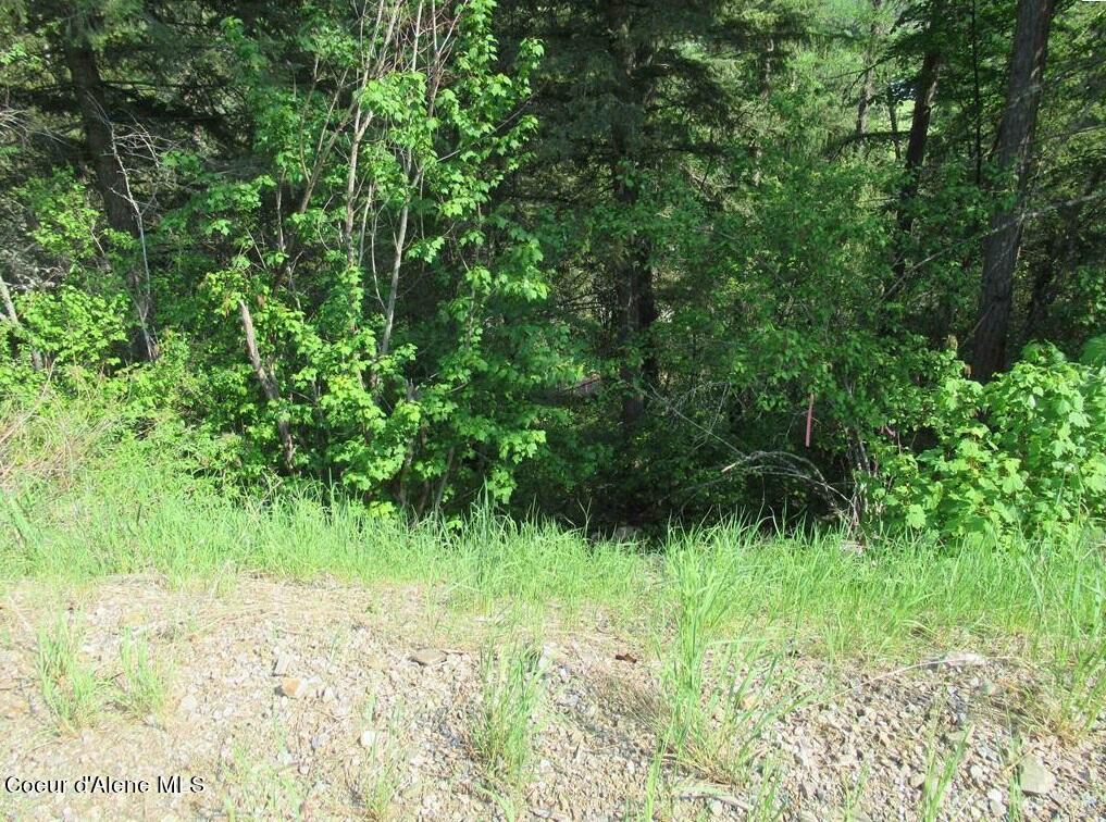 Nna North Quail Run Sandpoint, ID 83864 - Photo 21 of 23 20231210-24