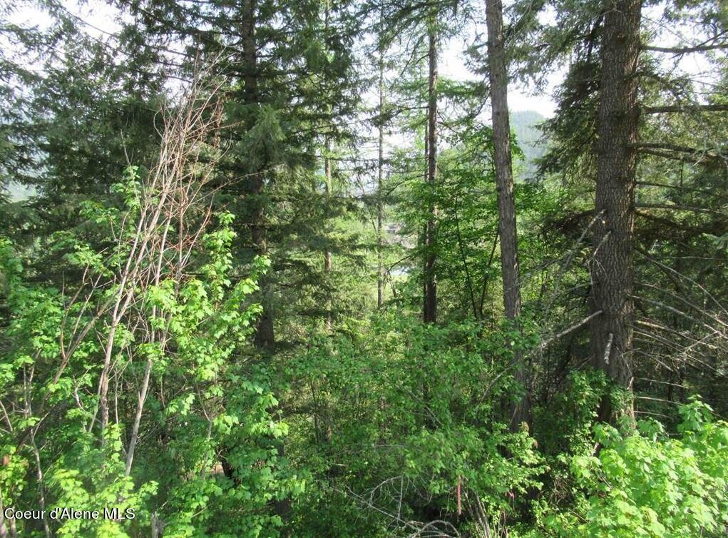 Nna North Quail Run Sandpoint, ID 83864 - Photo 23 of 23 20231210-28