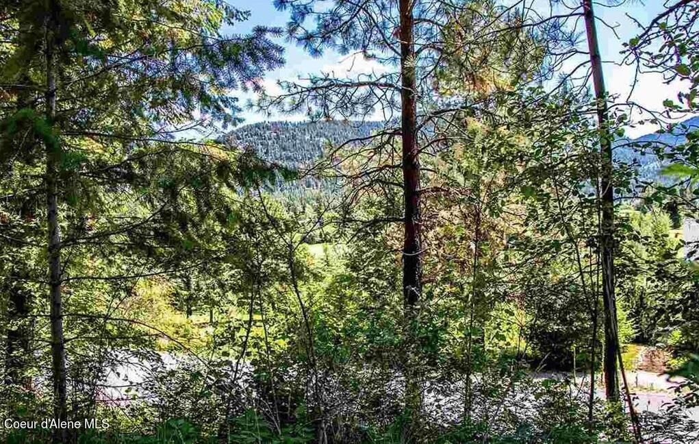 Nna North Quail Run Sandpoint, ID 83864 - Photo 10 of 23 20231210-9