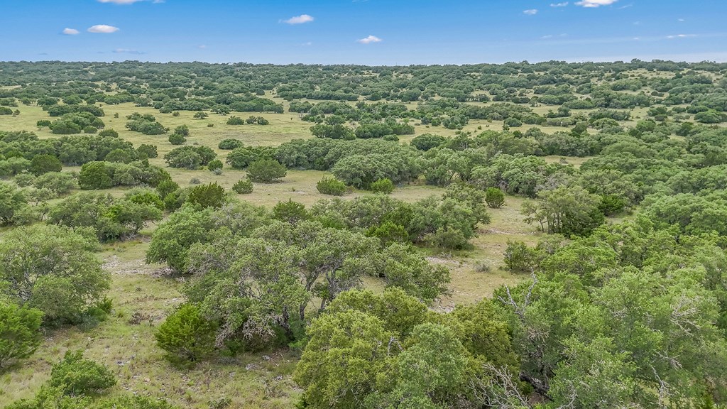 41 Rocksprings Tx 78880 Rocksprings, TX 78880 - Photo 52 of 62