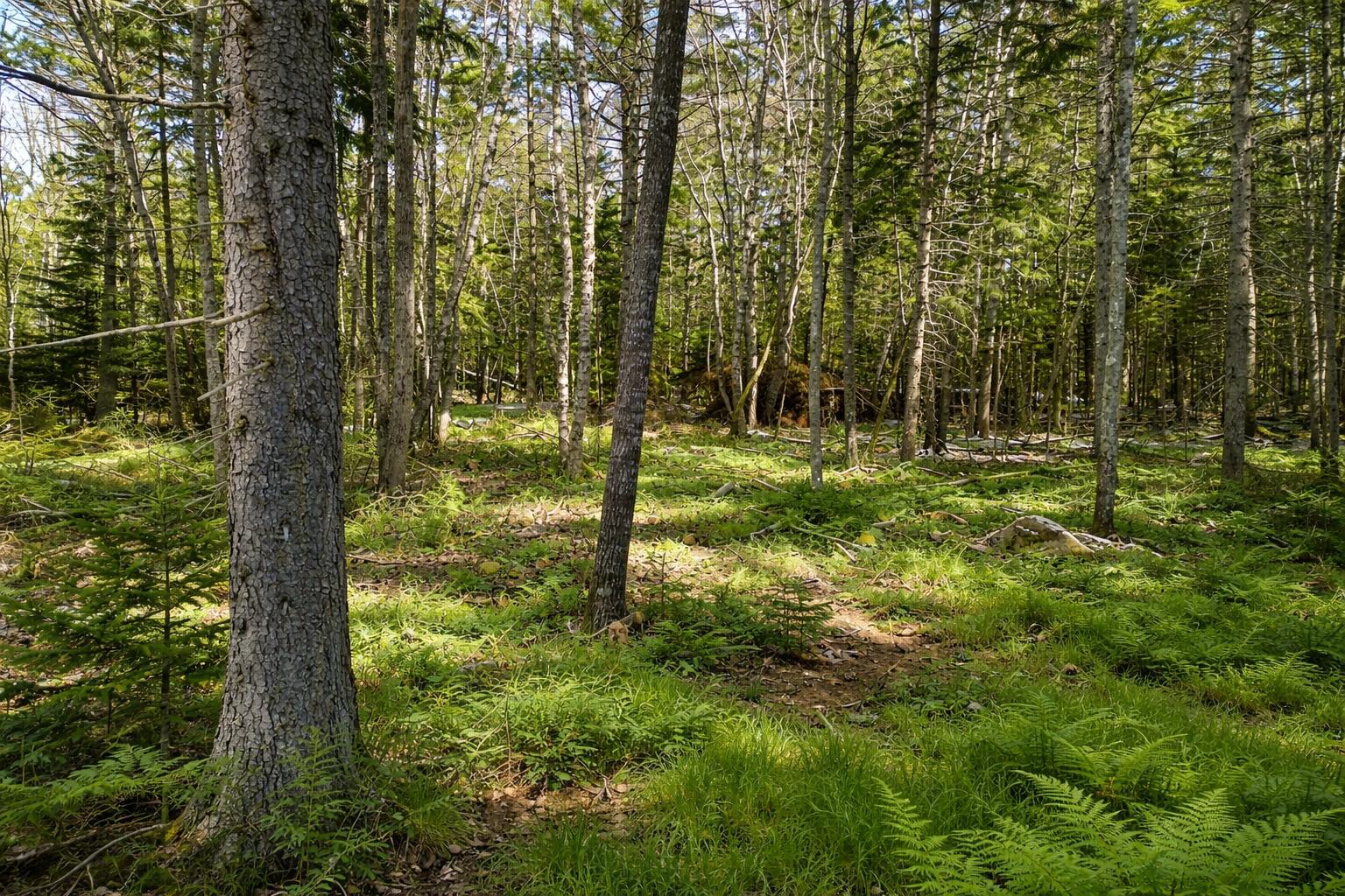 M4-l89-e Fiske Lane Pemaquid, ME 04558 - Photo 20 of 31 ChatGPT Image Apr 12, 2026 at 07_11_57 P