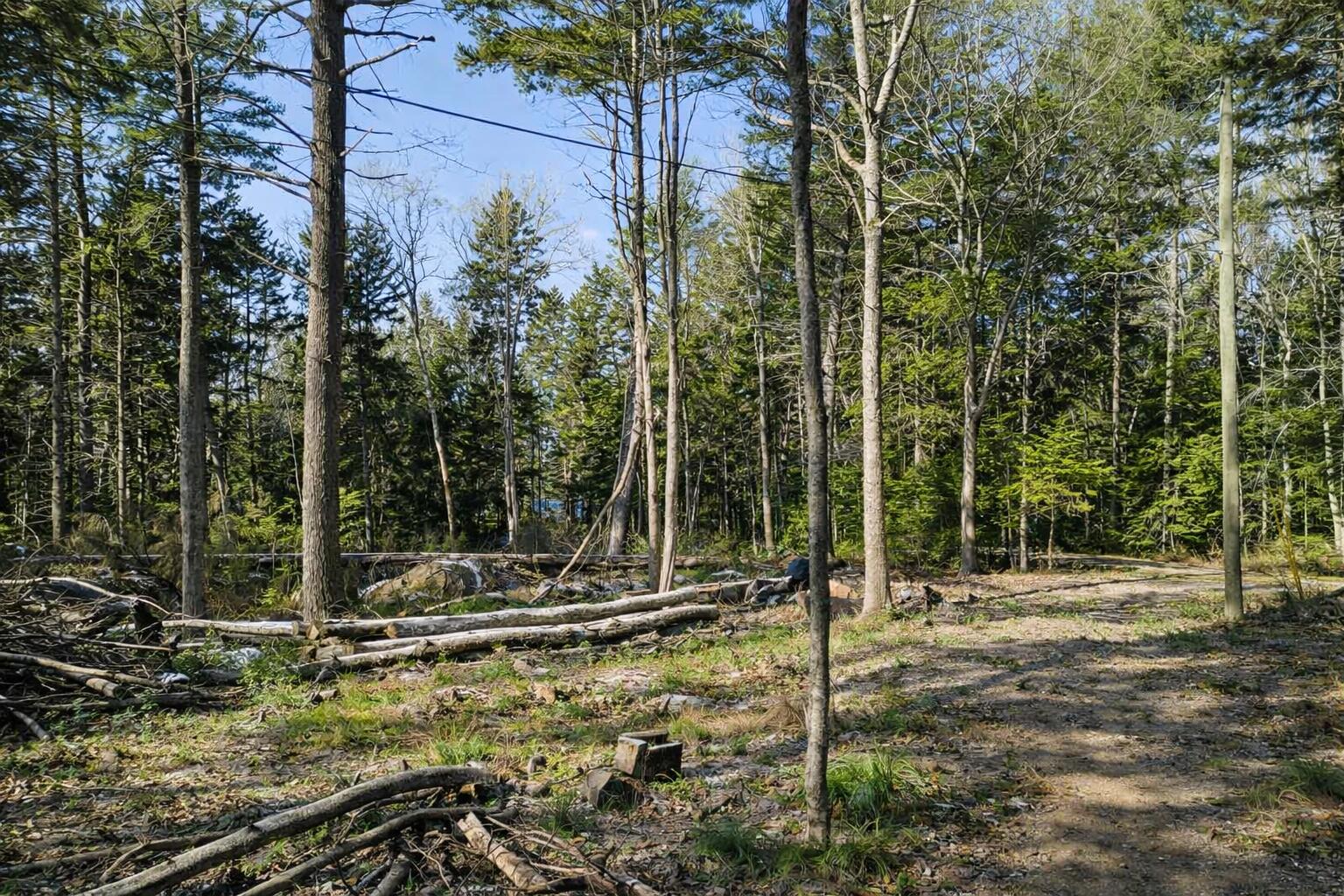 M4-l89-e Fiske Lane Pemaquid, ME 04558 - Photo 24 of 31 ChatGPT Image Apr 12, 2026 at 06_56_01 P
